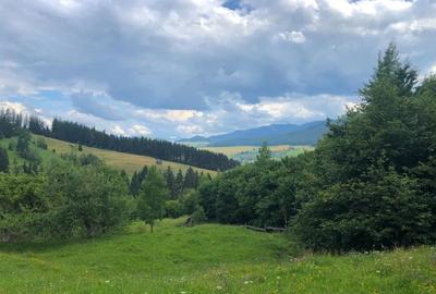 Teren intravilan de 6100 mp, în Central