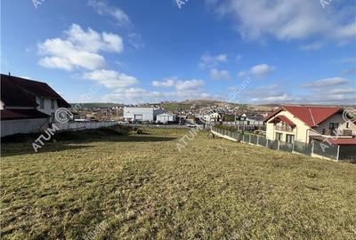 Teren agricol intravilan de 3220 mp, în Șura Mare - 10