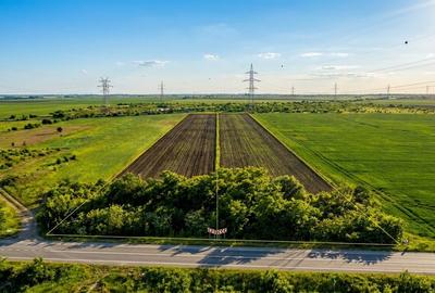 Teren Construcții extravilan de 5002 mp, în Glina - 1