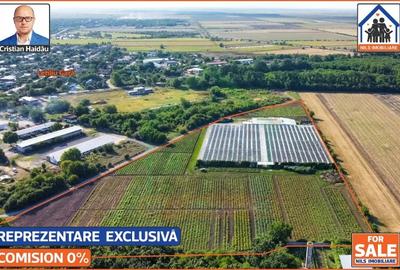 Teren de 42000 mp, în Lehliu-Gară - 2