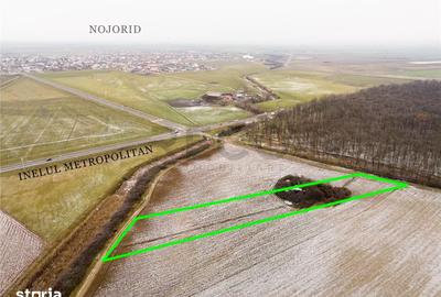 Teren de 4200 mp, în Nojorid - 5