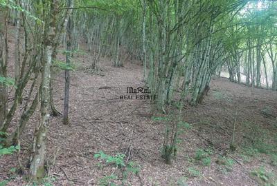 Teren de 3748 mp, în Bulzeștii de Sus