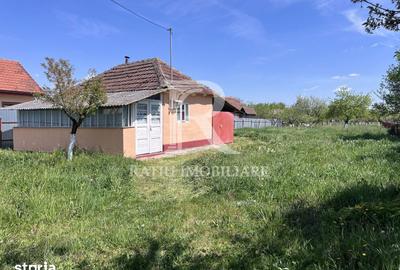 Casă cu 1 camere cu Teren 3000 Mp în Copăcel - 6