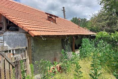 Casă cu Teren 2600 Mp în Central - 8
