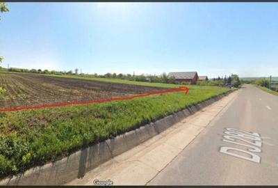Teren de 6000 mp, în Hălceni