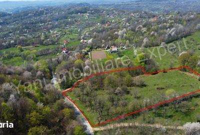 Teren de 15856 mp, în Valea Iașului - 8