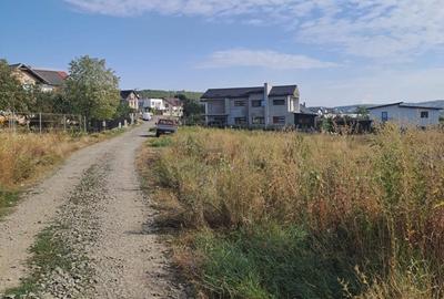 Teren de 25000 mp, în Central