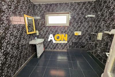 Casă individuală cu 10 camere cu Canalizare în Bărăbanț - 27