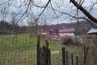 Teren de 800 mp, în Șotrile - 5