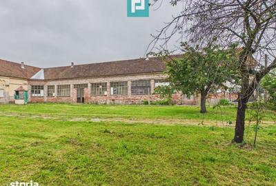 Casă cu Teren 1828 Mp în Zăbrani - 4
