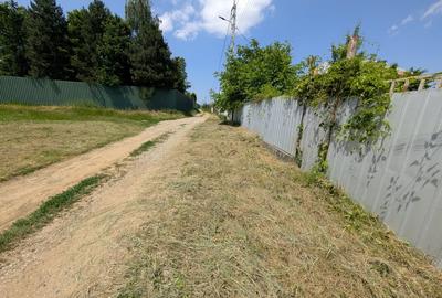 Teren Construcții intravilan de 4600 mp, în Vest - 4