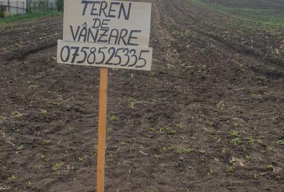 Teren de 5000 mp, în Valea