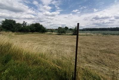 Teren Construcții intravilan de 2750 mp, în Podu Oltului - 5