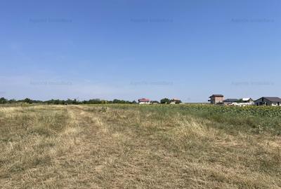 Teren Construcții intravilan de 1956 mp, în Frumușani - 4
