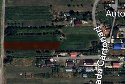 Teren de 1200 mp, în Ciorogârla