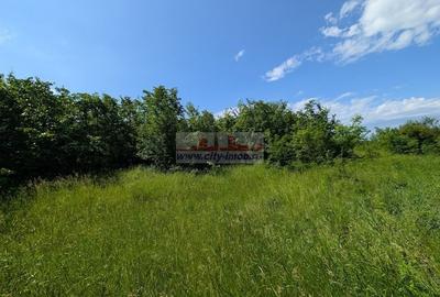 Teren Construcții intravilan de 1123.4599609375 mp, în Bălteni - 3