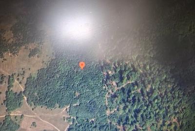 Teren de 10000 mp, în Oituz