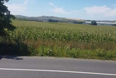 Teren de 4600 mp, în Central - 2