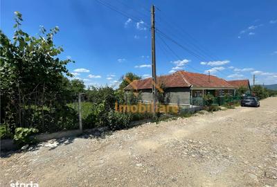 Casă cu 5 camere cu Teren 6770 Mp în Măgești - 4