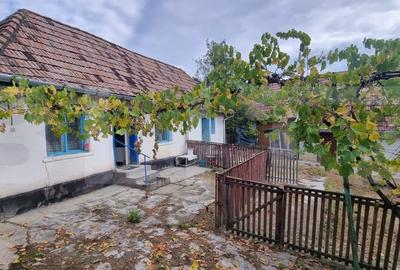 Casă individuală cu 3 camere cu Canalizare în Boian