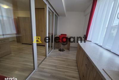 Garsonieră semidecomandată, mobilată în Craiovița Nouă - 3