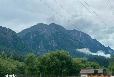 Teren de 1500 mp, în Nord