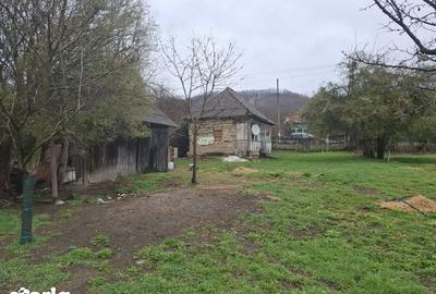 Teren de 5854 mp, în Tătărani - 8