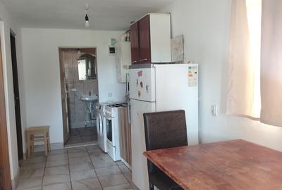 Casă cu 2 camere în Mihai Viteazu - 1