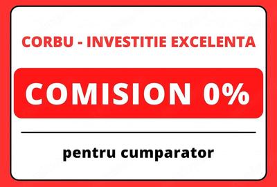Teren de 12500 mp, în Corbu