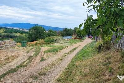 Teren de 2240 mp, în Copăcești - 3