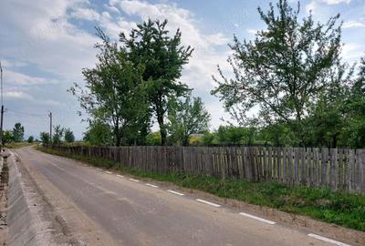 Teren de 2900 mp, în Estelnic - 5