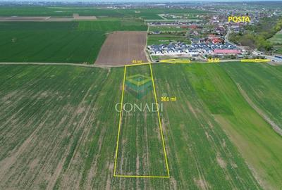 Teren Construcții intravilan de 16140 mp, în Cernica - 4