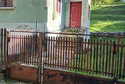 Casă cu Teren 1596 Mp în Central - 2