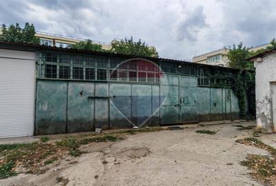 Spațiu industrial, de 437.29998779297 mp, în Doamna Ghica