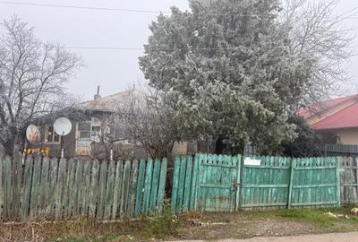 Casă cu 3 camere în Săhăteni - 1