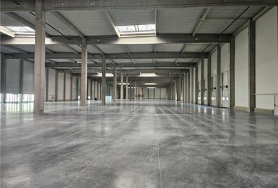 Spațiu industrial, de 10,500 mp, în Vest - 3