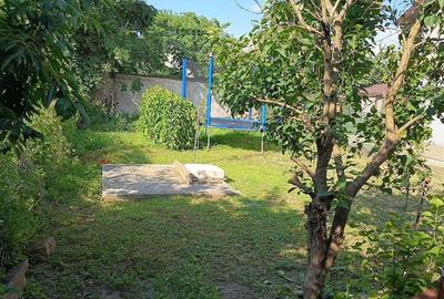 Casă cu Teren 360 Mp în Viișoara - 5