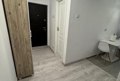 Garsonieră decomandată în Brazda lui Novac - 4