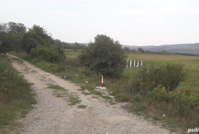 Teren de 3350 mp, în Central - 1