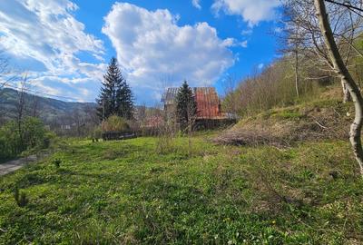 Teren Construcții intravilan de 1800 mp, în Brebu Megieșesc - 3