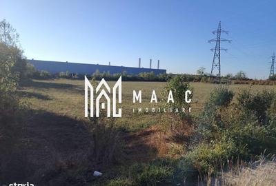 Teren de 11125 mp, în Căzănești - 5