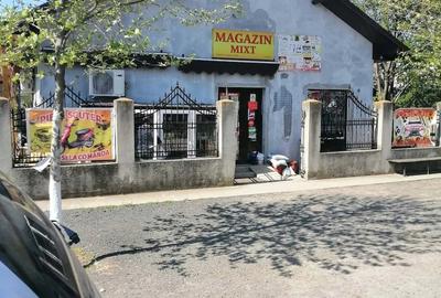 Casă cu Teren 1000 Mp în Perișoru