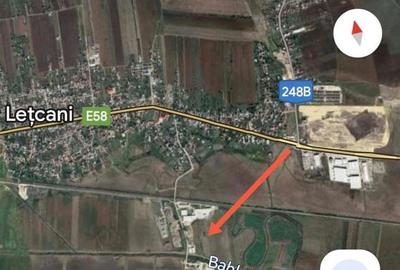 Teren de 5000 mp, în Lețcani - 4