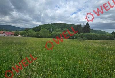 Teren de 4721 mp, în Barcani - 3