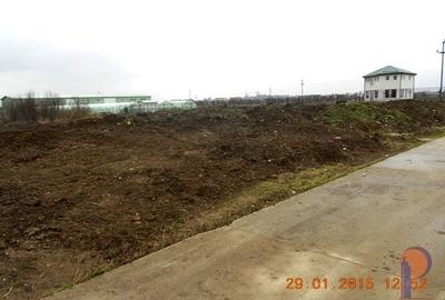 Teren Construcții intravilan de 4000 mp, în Bolintin-Deal - 9