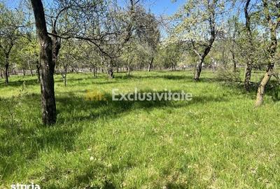 Teren de 3097 mp, în Corbi
