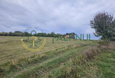 Teren Construcții intravilan de 649 mp, în Sadu - 1