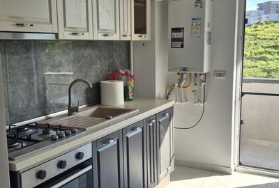 Apartament cu 2 camere în Vișan