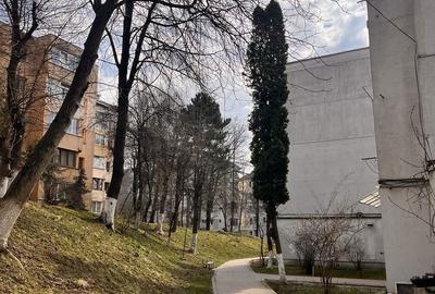 Apartament cu 3 camere decomandat, mobilat în George Enescu - 8