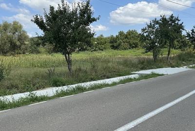 Teren de 1000 mp, în Lipovăț - 1